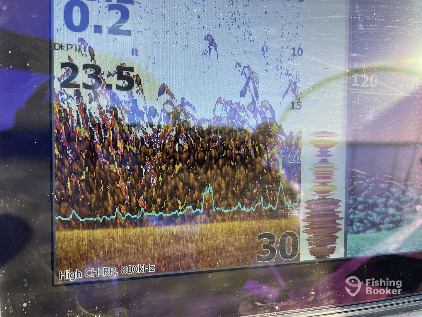 Whitney Report Photo 0