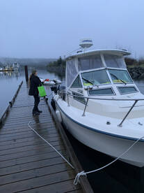 Nanaimo Report Photo 2