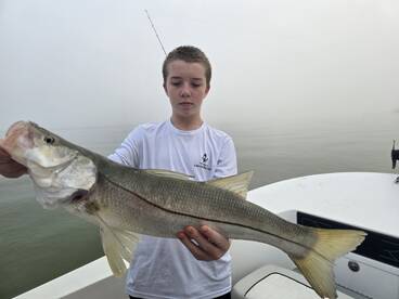 Nice snook 