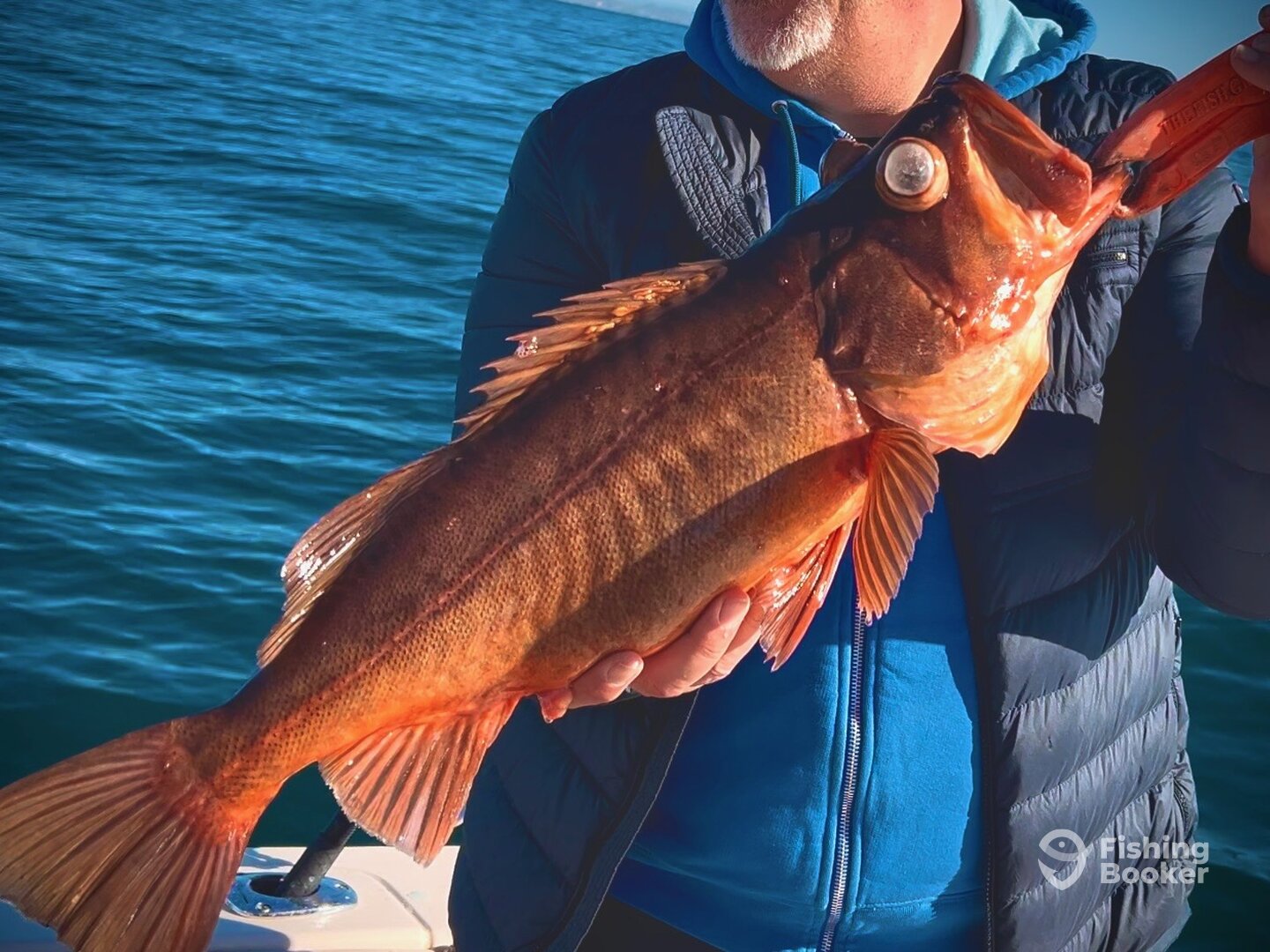 San Diego Verslag Foto 0