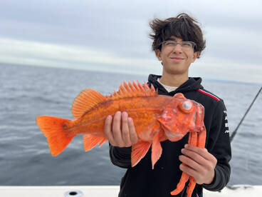 San Diego Verslag Foto 2