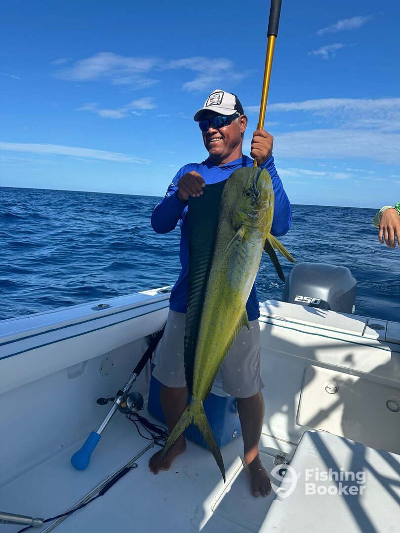 Tamarindo Report Photo 0