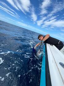 Tamarindo Report Photo 2