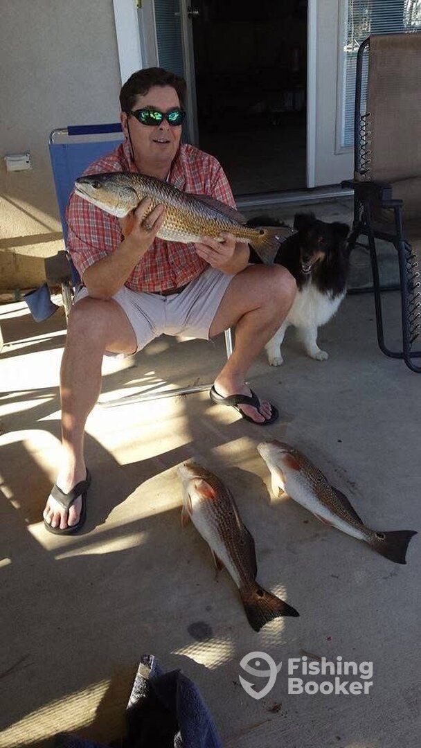 Houston Report Photo 0