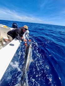 Sportfishing Report Offshore 