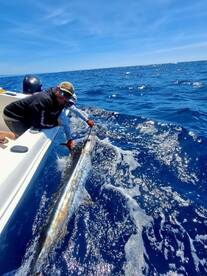 Playa Flamingo Report Photo 2