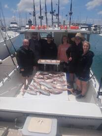 Half-Moon Bay Report Photo 2