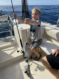 Kailua-Kona Report Photo 1