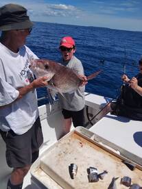 Half-Moon Bay Report Photo 2