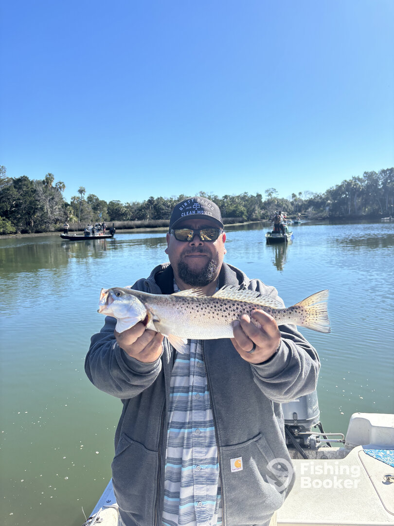 Spring Hill Report Photo 0