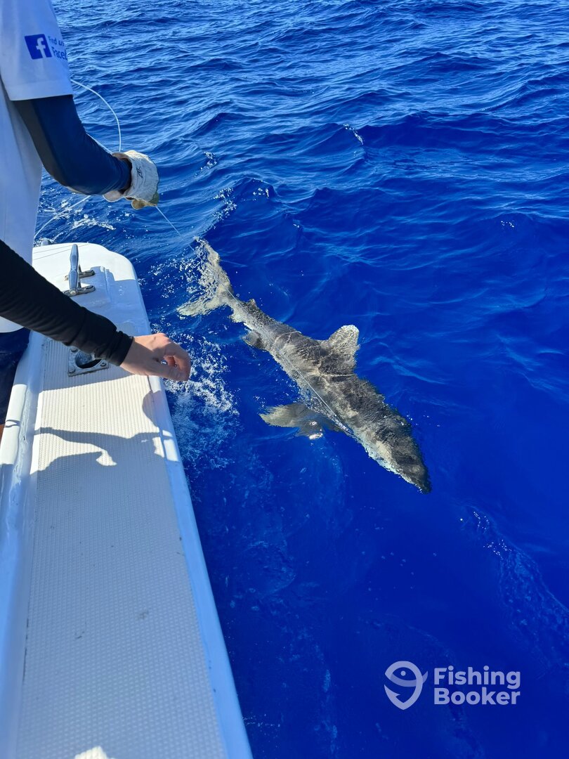 Le Morne Report Photo 0