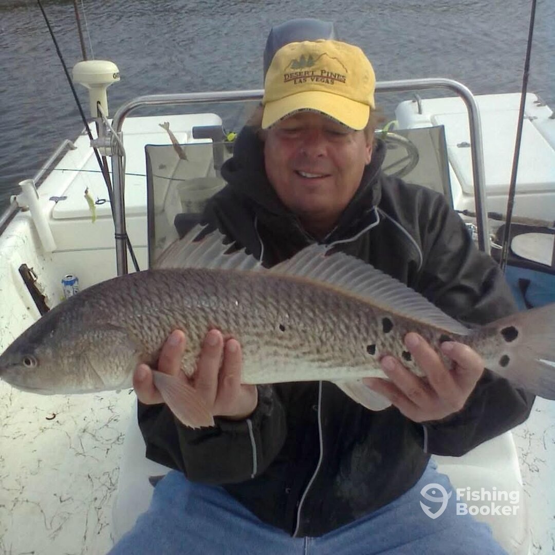 Houston Report Photo 0