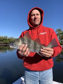 New Port Richey Report Photo 2