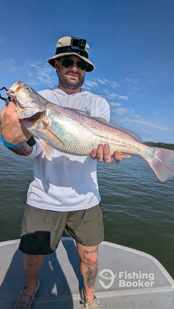 Gamboa Report Photo 0