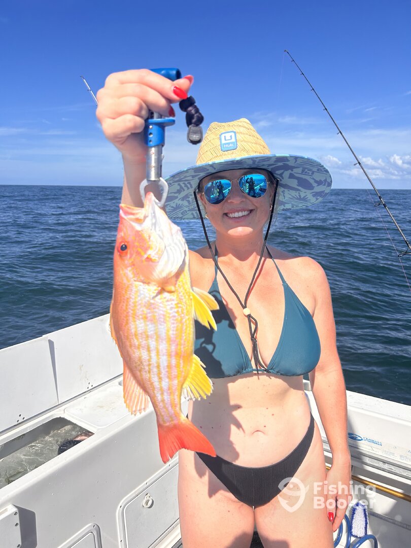 St. Petersburg Report Photo 0