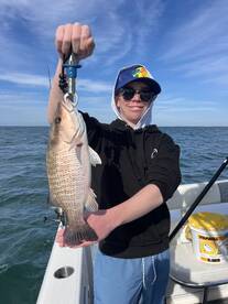 St. Petersburg Report Photo 2