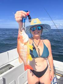 February - snapper, snapper and more sna