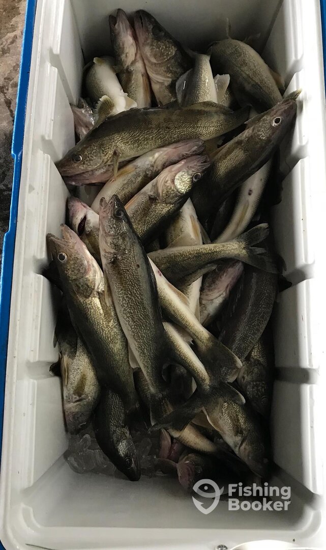 Wyandotte Report Photo 0