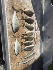 Boynton Beach Report Photo 2