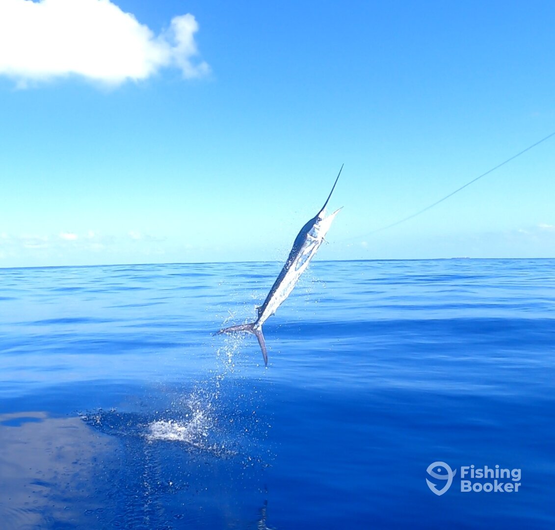 Punta Cana Report Photo 0