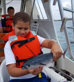 Spanish are snapping