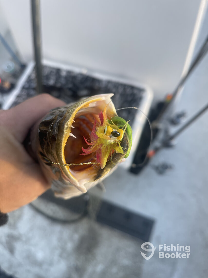 River Road Report Photo 0