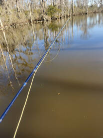 River Road Report Photo 1