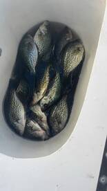 Clewiston Report Photo 1