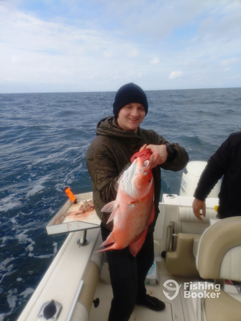 Niceville Report Photo 0