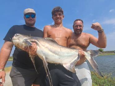 Bangkok Report Photo 2