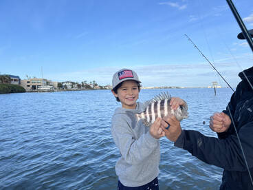 Sarasota Report Photo 1