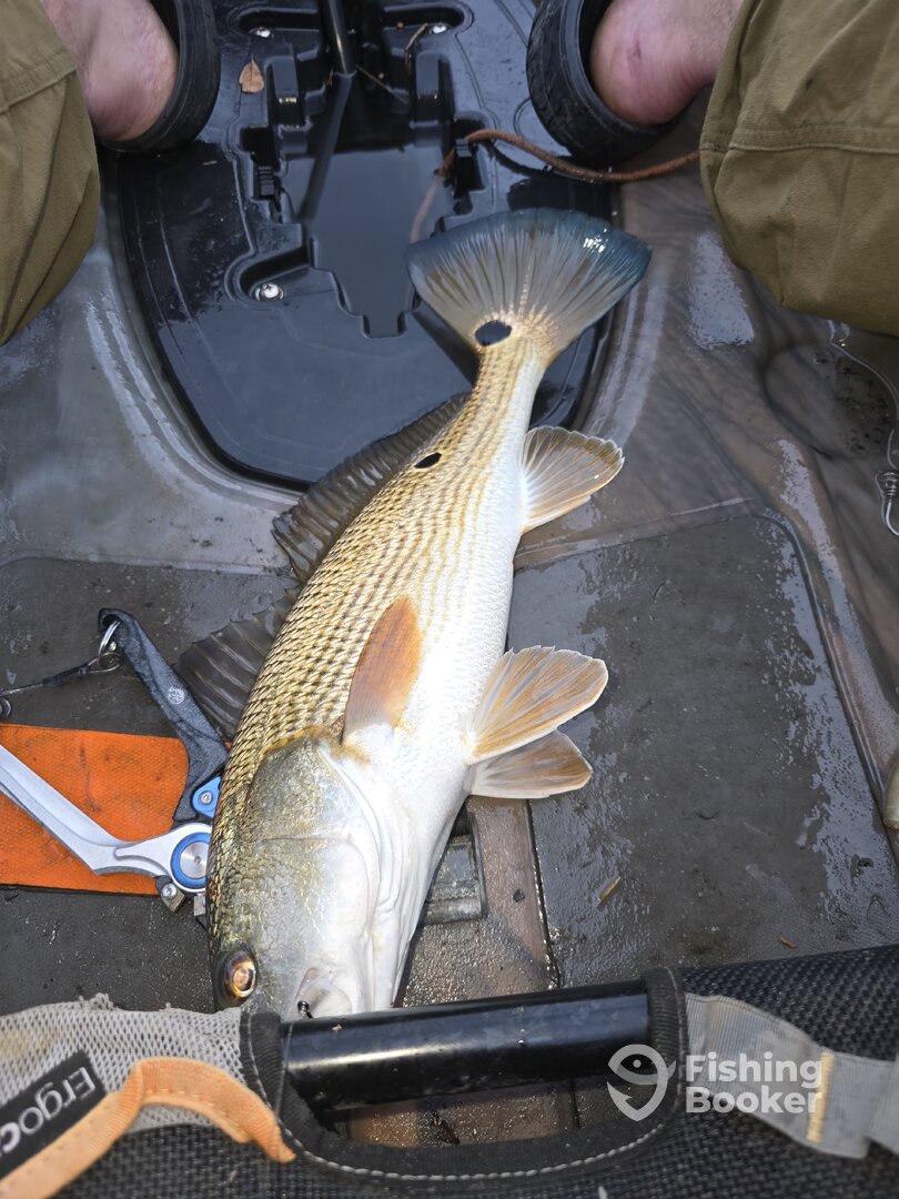 New Smyrna Beach Report Photo 0