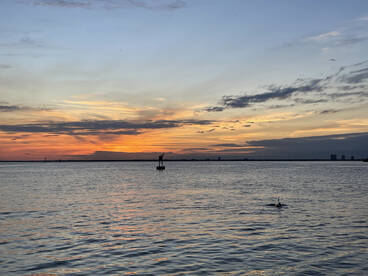 Tampa Report Photo 1