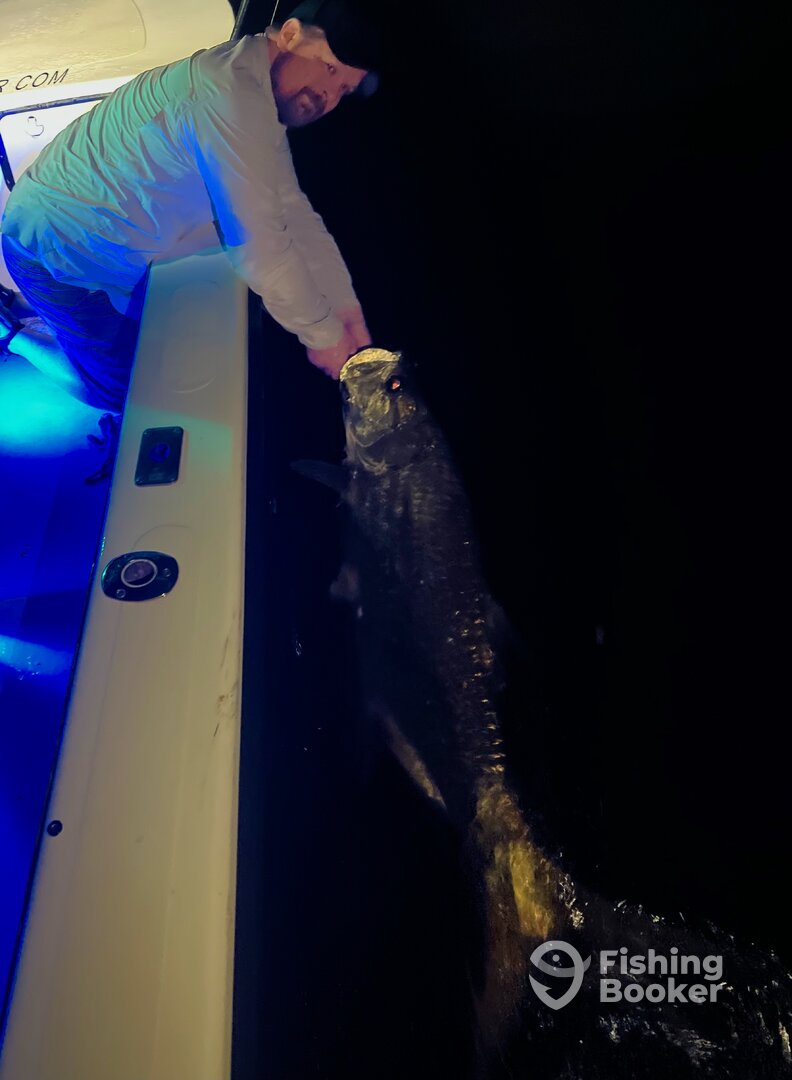 San Juan Report Photo 0