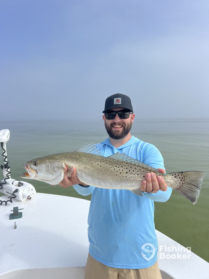 St. Petersburg Report Photo 0