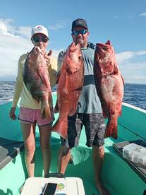 Sierpe Report Photo 3