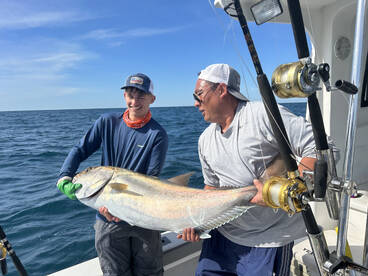 Big amberjacks, grouper and snapper 
