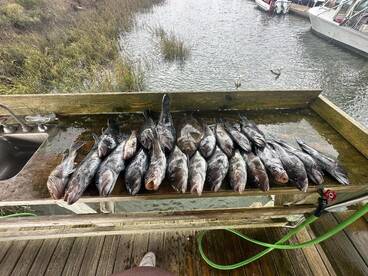 Fernandina Beach Report Photo 1