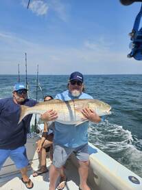 Virginia Beach Report Photo 1