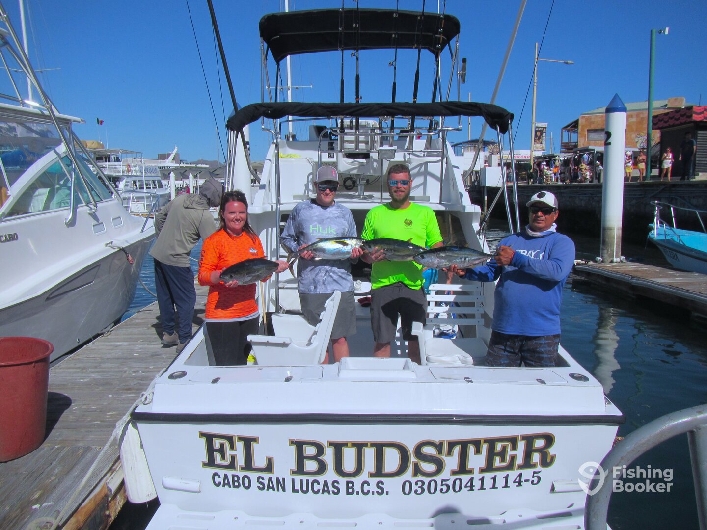 Cabo San Lucas Report Photo 0