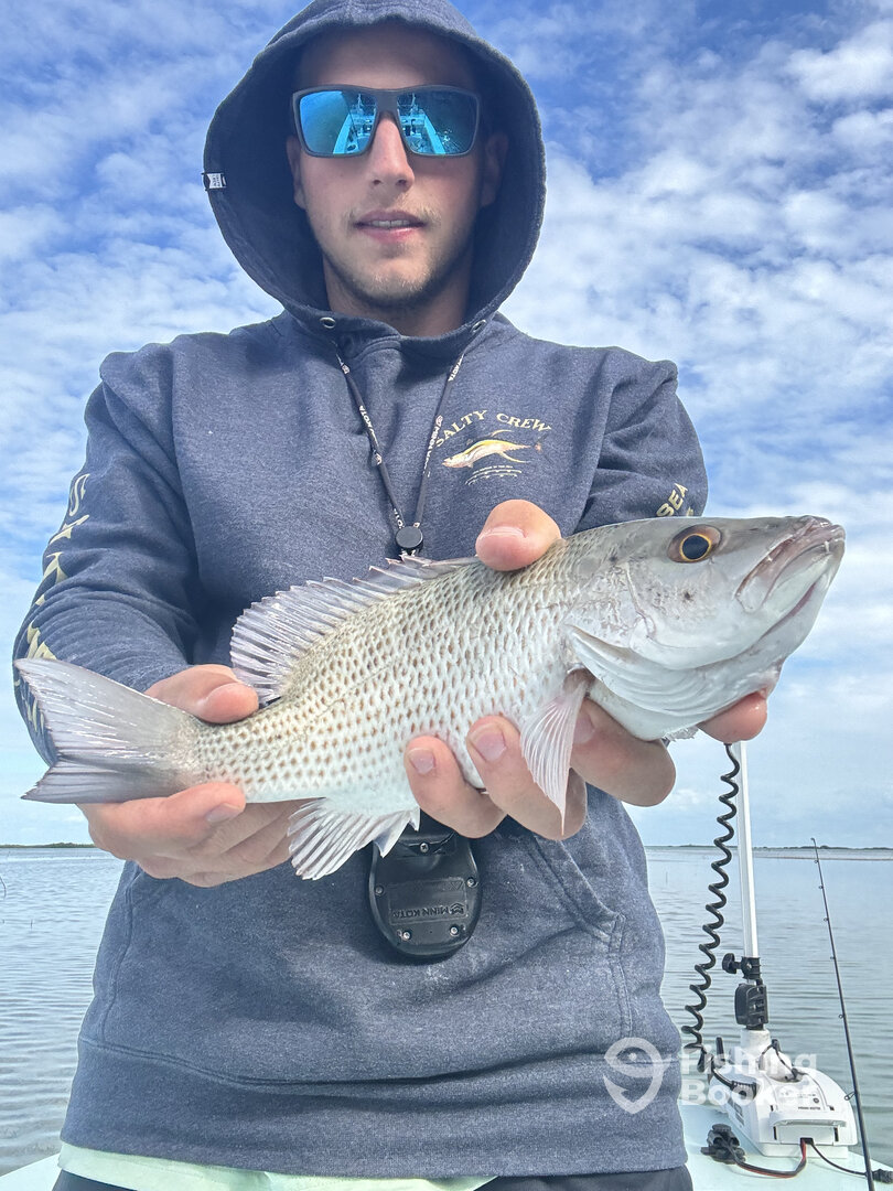 Key Largo Report Photo 0