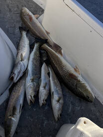 Fernandina Beach Report Photo 2