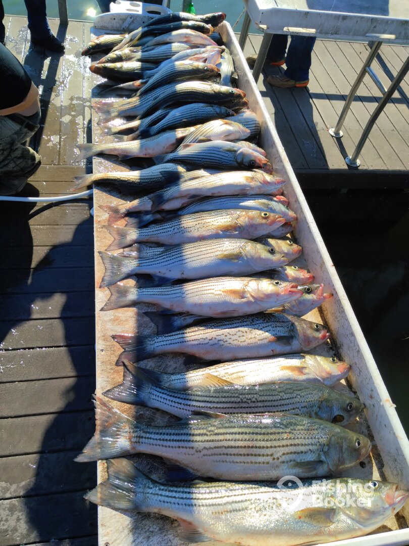 Kingston Report Photo 0