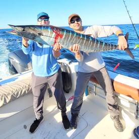 Wahoo fishing in the fall