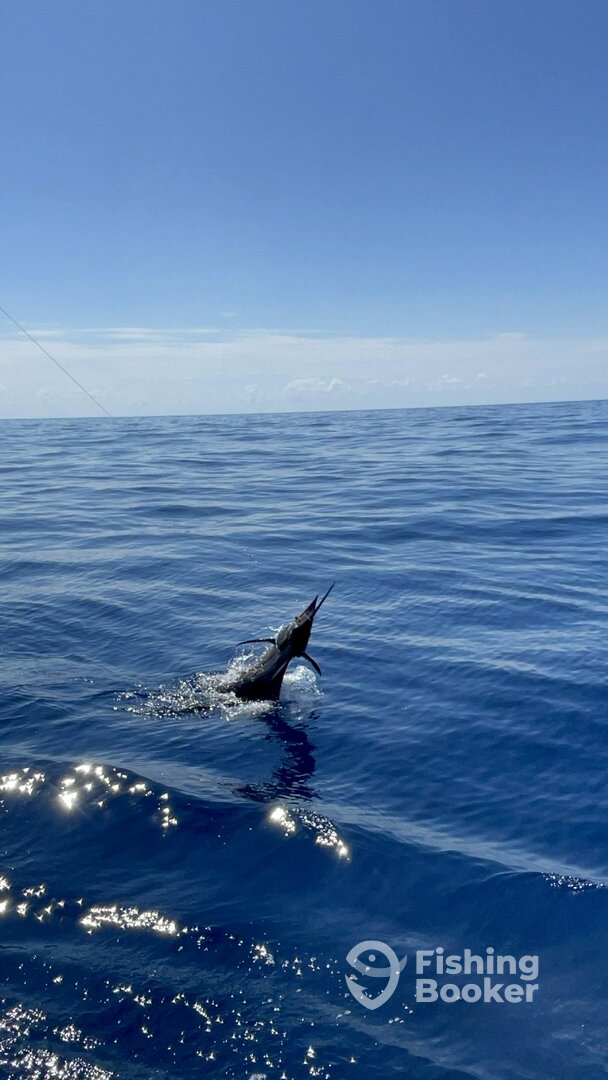 Quepos Report Photo 0