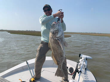 Big'ol Monster Black Drum and some other