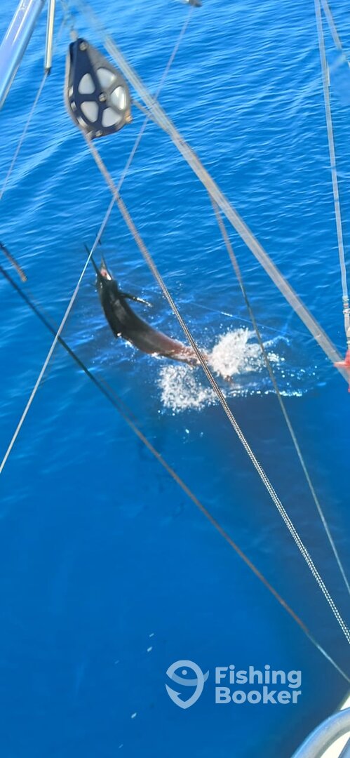 Herradura Report Photo 0