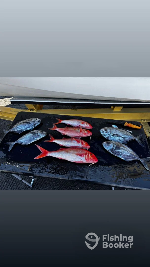 Kailua-Kona Report Photo 0