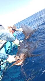 Herradura Report Photo 2