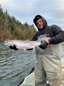 Winter Steelhead 